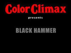 vintage 70s danish - black hammer - color climax
