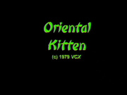 oriental kitten 1975