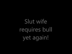 uk slut wife degrades sissy sub husband with bull part 1 eos 2018