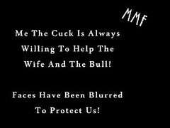 the wife the bull the cuck and a hotel room 207 189 Ma19