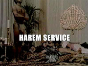 cc harem service