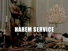 cc harem service