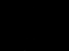 se 183 sneak preview