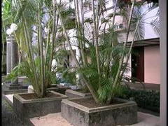 three guys have fun with milf at holliday swinger