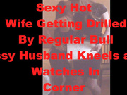 Sexy Hot Wife Getting Drilled By Regular Bull Sissy Husband Kneels and Watches In Corner