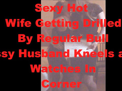 Sexy Hot Wife Getting Drilled By Regular Bull Sissy Husband Kneels and Watches In Corner