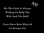 the wife the bull the cuck and a hotel room 207 189 Ma19