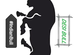 Bbw Hottie loves Big Black Cock LLWTR21