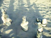 Marie wird gefickt in die Dunen