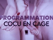 Programmation : Cocu en cage