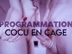 Programmation : Cocu en cage