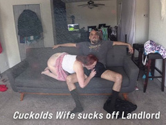 Husband watches wife suck off Landlord