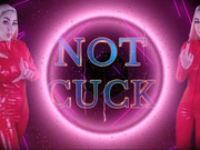 You are not a cuckold, you are probably GAY - ASMR , HUMILIATION