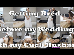 Getting Bred by my Bull on my Cuck Wedding Night