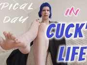 Typical day in a cuck's life