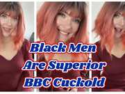 Black Men Are Superior BBC Cuckold