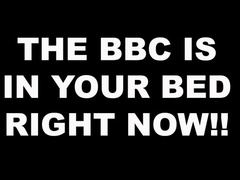 The BBC Bull is in Your Bed!