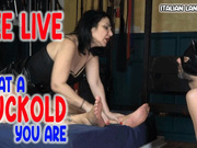 See live what a cuckold you are - Guarda dal vivo quanto sei cornuto HD