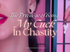 The Privilege Of Being My Cuck In Chastity