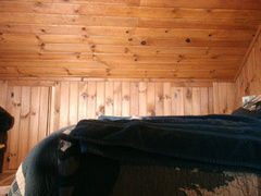 stepmom cucks and humiliates with cum covered feet