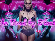 She Bred by Blacks - you Learning Your Worthless Cuck Place