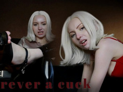 Forever a Cuck 1080p mp4