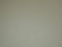 Facesitting Oral POV Cucking