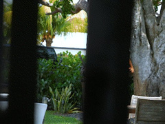 Alyssia Vera - Caught & Rough Cucked - Mp4 HD