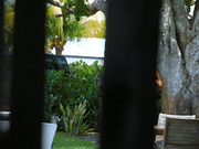 Alyssia Vera - Caught & Rough Cucked - Mp4 4K