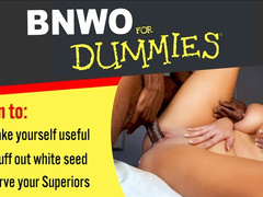 BNWO for Dummies