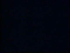 california surfer girls 1979