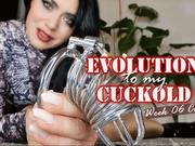 Evolution to my CUCKOLD - Week 6: Chastity ENGLISH