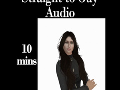Straight to Gay Audio
