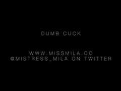 Dumb Cuck