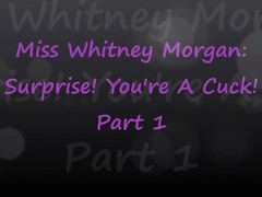 Miss Whitney Morgan: Surprise You're A Cuck part 1 - wmv