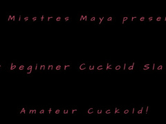 Beginner Cuckold Slave Johnny