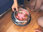 THE PIG:THE MOST DEGRADING CUM EATING CUCKOLD TREATMENT EVER! (720p HQ)