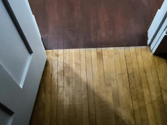 BBWLovr69 BBW Wife Oral with Black Bull