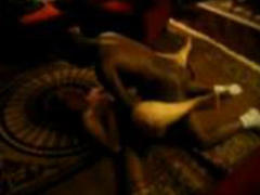 black dick loving chicks 2