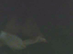 interracial sanstitre