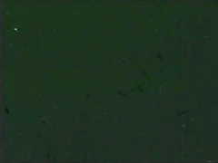 bucky beavers stags loops vol 05